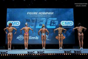 FIGURE НОВИЧКИ